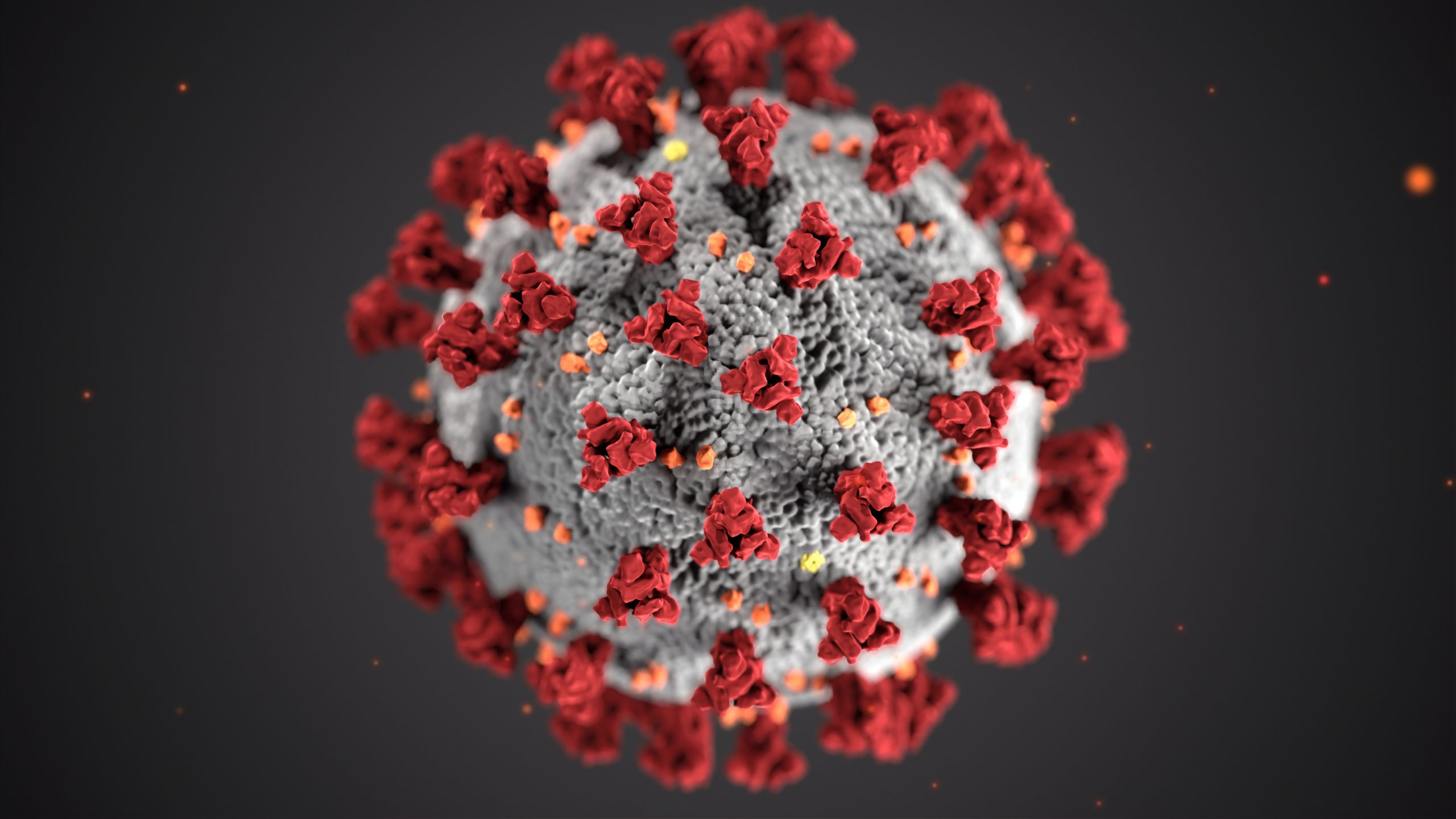 Coronavirus immunity