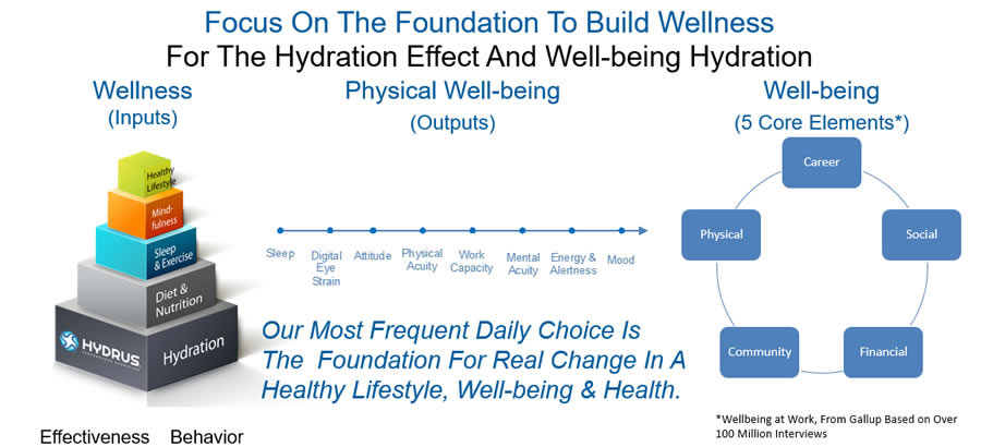 Hydrus - Well-Being Model
